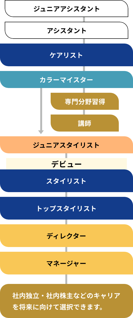 スタイリスト、ケアリストの場合のキャリアプランの図